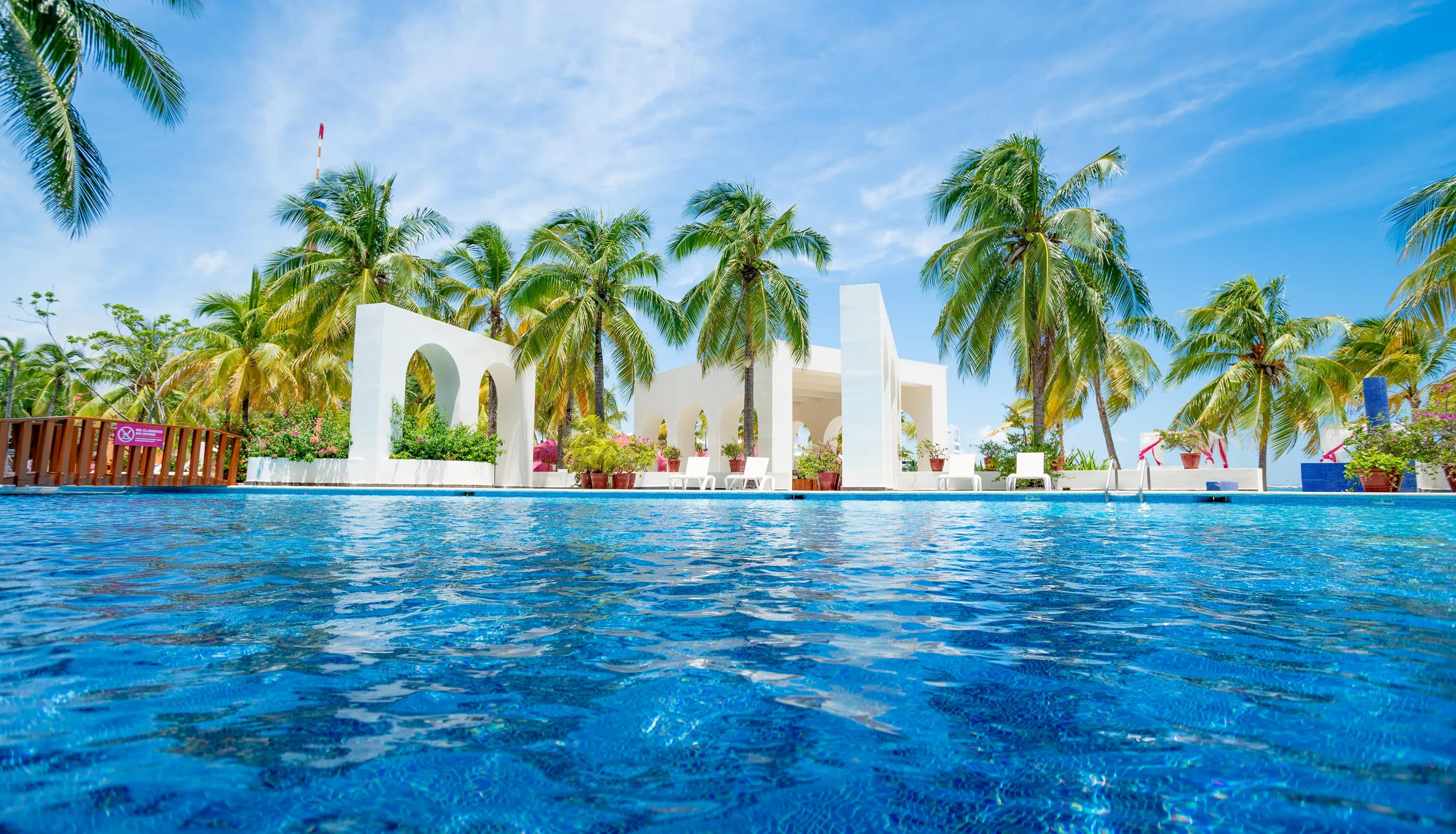 Grand Oasis Palm
